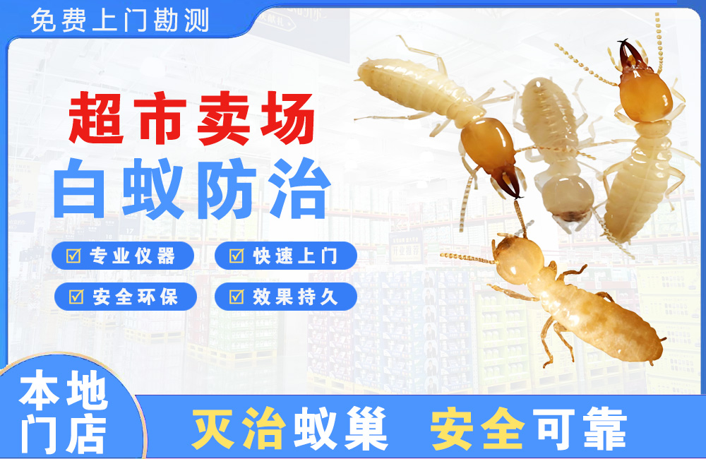 凉山超市卖场白蚁防治