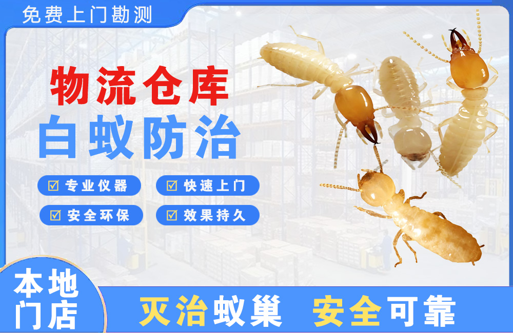 凉山物流仓库白蚁防治