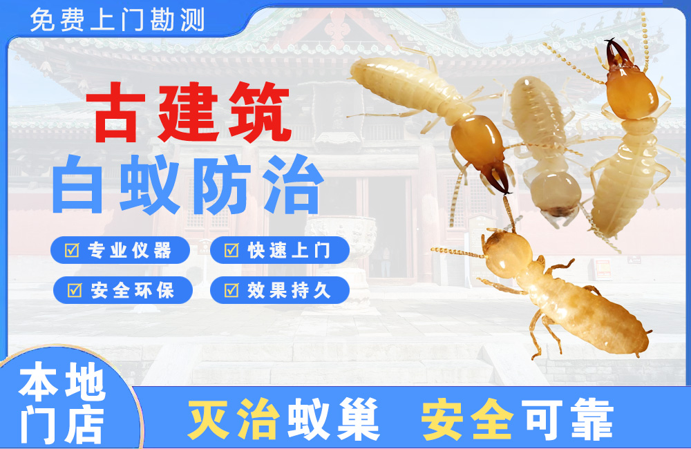 凉山古建筑白蚁防治