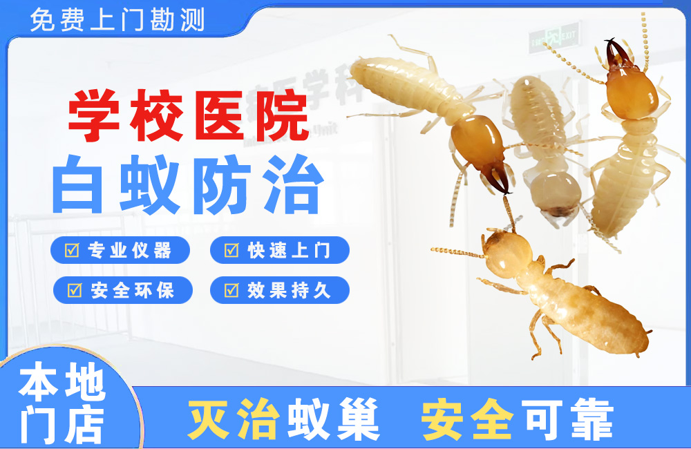 凉山学校医院白蚁防治