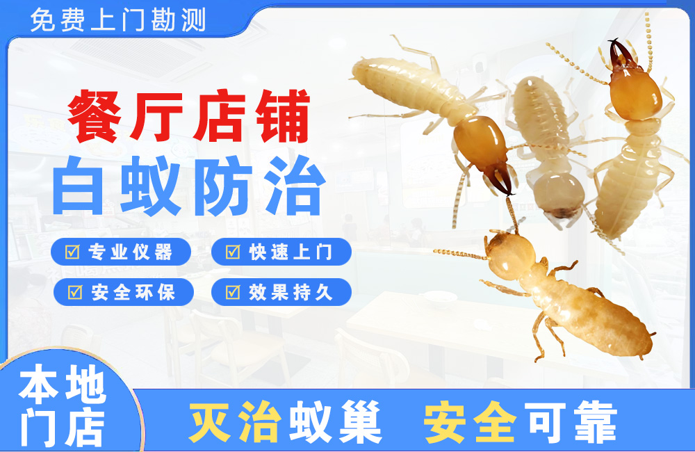 凉山餐厅店铺白蚁防治